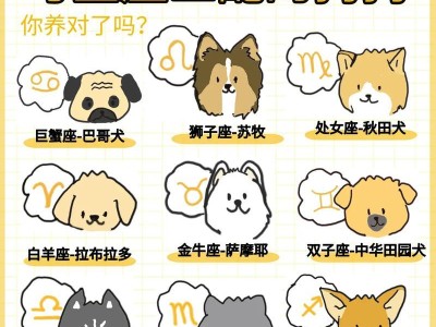 以饲养成本为考量，你应该选择什么狗狗？（选择经济实惠的宠物狗，降低饲养成本）