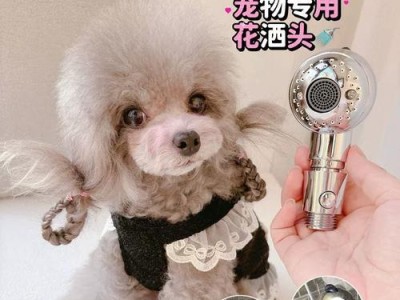 如何科学地给小狗洗澡？（小狗洗澡的频率与注意事项）