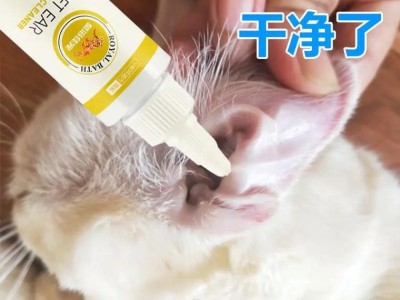猫耳螨的治疗药物及注意事项（选择正确药物，保护猫咪免受耳螨之苦）