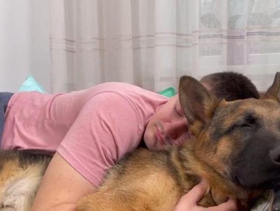 狗狗怕冷，如何保护它们免受寒冷的伤害？（了解狗狗怕冷的表现和应对方法，让你的宠物温暖过冬）