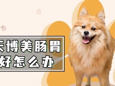 博美犬两个月时的合适狗粮喂养量（根据身体情况定制的喂养方法）