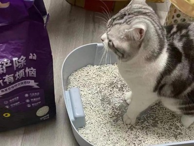 揭秘猫拉屎特别臭的原因（为什么猫的排泄物散发出令人难闻的气味？）