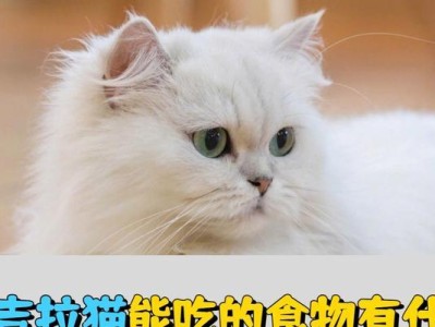 猫的饮食需求与最佳选择（了解猫的饮食需求，给它们提供最好的食物）