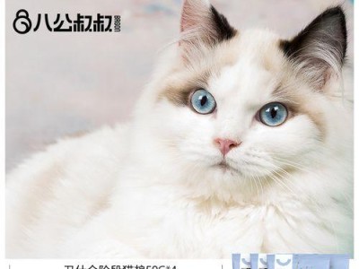 幼猫吃成猫粮的问题（成猫粮对幼猫的影响及应注意的事项）