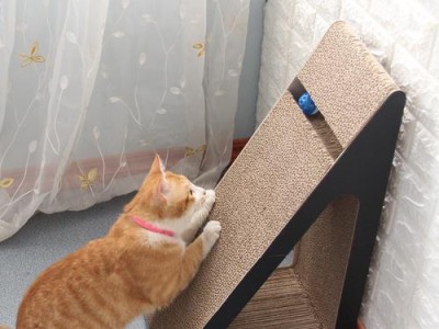 猫抓板，如何选购？（为你的宠物选择最佳猫抓板）