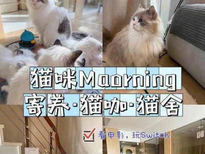 猫咪长期寄养中心-为您的猫咪提供贴心服务（让爱宠无忧留宿，长期寄养定制化服务，快来了解！）