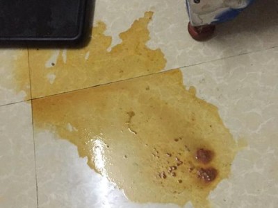 细小病毒传染途径及预防措施（从微观到宏观，了解细小病毒的传播途径及防范方法）