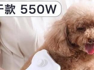 狗为何喜欢吹风？（揭秘狗狗对吹风的热爱与原因）