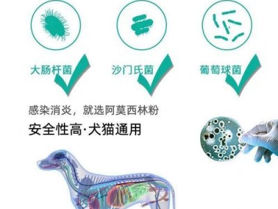 狗狗使用阿莫西林的用量和注意事项（了解狗狗使用阿莫西林的正确剂量和安全使用方法）