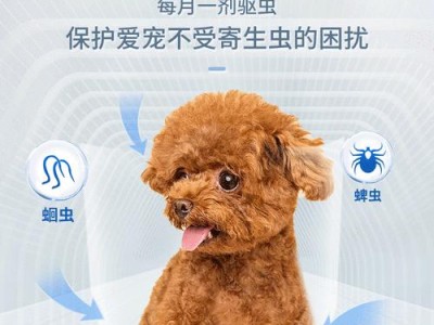 如何正确给宠物泰迪吃驱虫药？（泰迪宠物驱虫药注意事项）