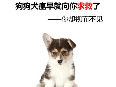 狗瘟的治疗药物（针对狗瘟的药物治疗方法、副作用和关键注意事项）