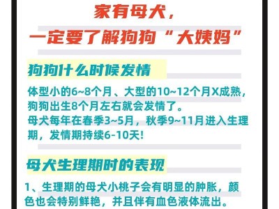 宠物月经周期与管理（了解宠物月经周期，科学管理宠物健康）