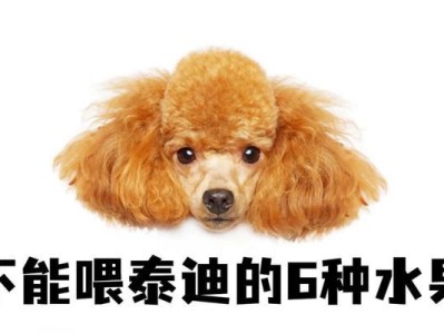 泰迪宝宝2个月应该吃什么水果？（合理搭配水果助力泰迪宝宝健康成长）