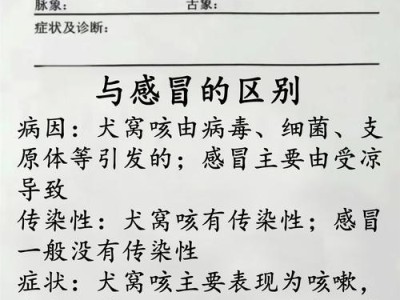 为什么狗狗会打喷嚏？（探索狗狗打喷嚏的原因及应对方法）
