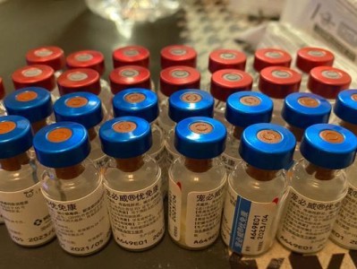 幼犬疫苗接种指南（宠物犬疫苗接种时间表及注意事项）