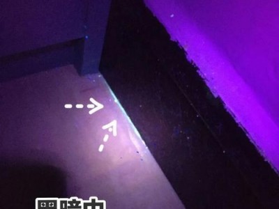 猫尿的颜色与健康状况相关性解析（了解猫尿的颜色可以帮助宠物主人及时发现健康问题）