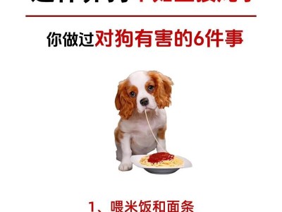 狗狗减肥的重要性（了解为什么狗狗需要减肥，以及如何做到最好）