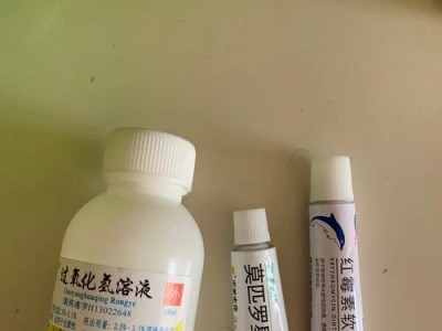 如何改善泰迪皮肤干燥问题（泰迪犬皮肤护理的关键）