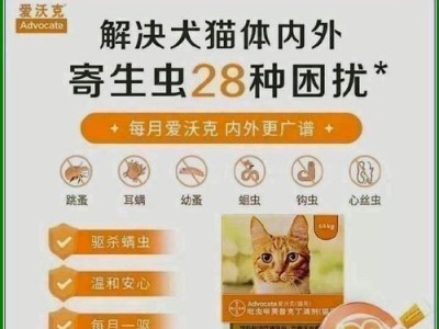 治疗狗耳朵耳螨的有效药物选择（选择合适药物治疗狗耳朵耳螨的关键）