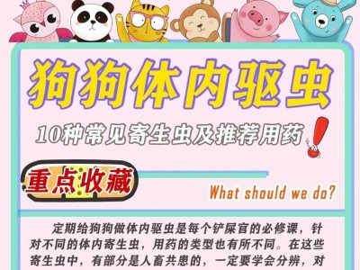 狗常见的虫病及预防方法（了解狗常见的虫病，保护我们的毛绒好友）