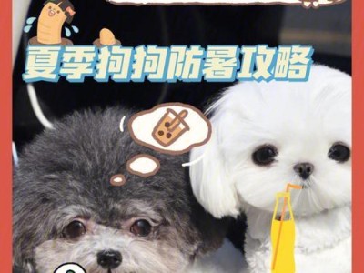 狗子夏日吹空调，需注意的温度设置和注意事项（为宠物狗提供适宜的室内温度，避免过度降温）