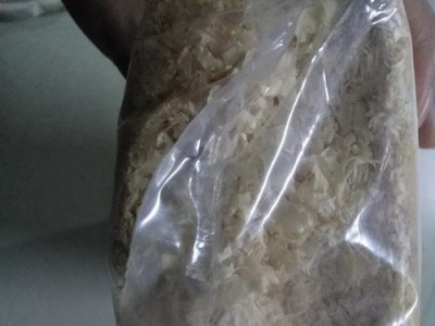 仓鼠木屑更换频率及注意事项（科学确定仓鼠木屑更换周期，宠物健康才有保障）