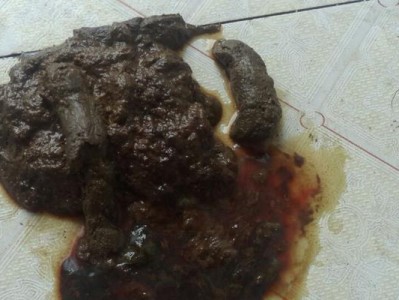 狗狗小便出血的原因及治疗方法（药物治疗犬科出血性膀胱炎的关键）