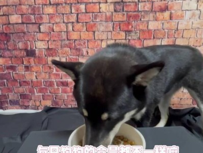 如何选择给狗狗提供最合算的食物？（以狗吃什么东西最合算？一份详尽指南）