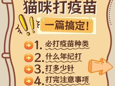 小猫疫苗注射注意事项（保护小猫免受疾病侵袭）