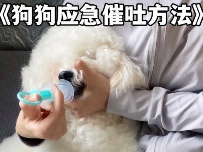 狗吃了慢性老鼠药后的发作情况（慢性老鼠药中毒狗的症状和处理方法）