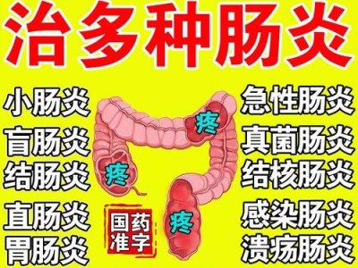 贵宾呕吐后的饮食恢复指南（呕吐后如何调理贵宾的饮食？）