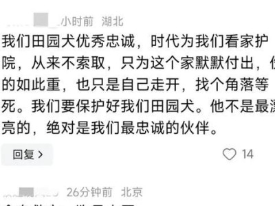 神奇的狗（揭秘狗的抗毒性能，让你惊叹不已）