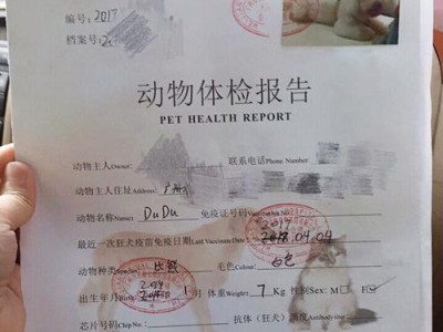 带狗出国的手续及注意事项（国际旅行携犬的要求与流程）