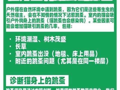 小猫身上为什么会有跳蚤？（探究小猫身上跳蚤滋生的原因及防治方法）