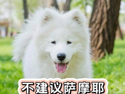 狗能吃任何食物吗？（探究狗是否能适应各类食物的饮食习惯）