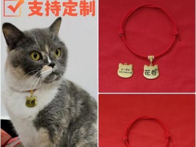 以狗狗身份牌为纽带，守护爱宠的身份（探索狗狗身份牌的实际用途与价值）