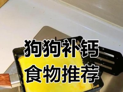 如何给幼狗补钙？（幼狗补钙的注意事项及食谱推荐）