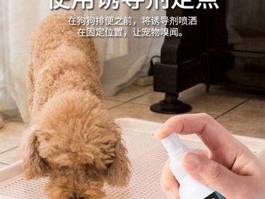 为什么狗狗爱跷腿尿尿？（探究狗狗爱跷腿尿尿的原因及如何纠正）