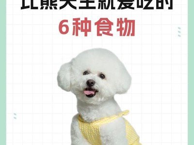 五个月大的狗狗该以什么食物为主？（为了狗狗的健康成长，关注食物是必要的！）