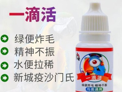 以鹩哥喂什么好？（探究鹩哥饮食习惯及其喂养方法）