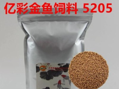 红虎头金鱼的饲养方法（打造健康活泼的红虎头金鱼水族馆）