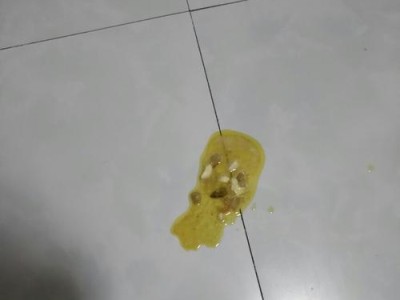 小狗狗有吐吃什么药？（了解小狗吐吃药物的选择与治疗方法）