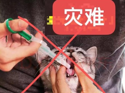 猫体内驱虫四天后的主要反应及应对措施（了解猫体内驱虫的常见反应，保障猫咪的健康）