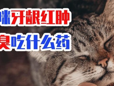 猫嘴肿了怎么办？吃什么药好？（缓解猫嘴肿症状的有效药物及保健措施）