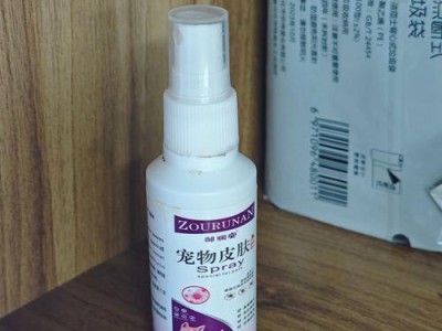 如何处理狗狗身上的癣？（治疗和预防癣的方法及注意事项）