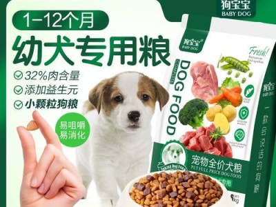 金毛幼仔狗的饲养指南（科学喂养，健康成长）