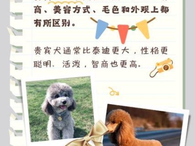 贵宾犬的体型多样性（探索不同体型下的贵宾犬品种特点）