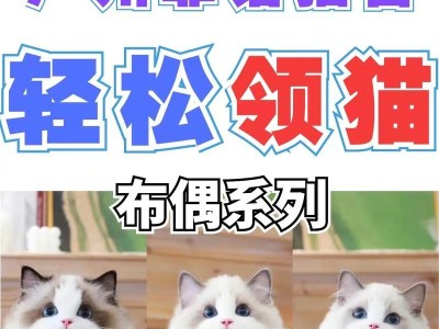 英短猫七种常见颜色盘点（英短猫的颜色种类及价格对比）