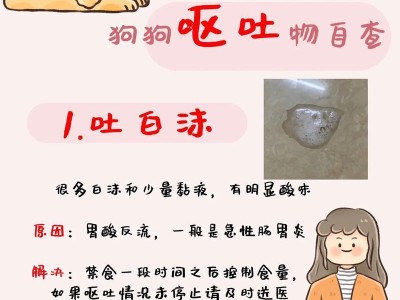 狗狗呕吐的原因及处理方法（探究狗狗呕吐的常见原因和有效处理方法）