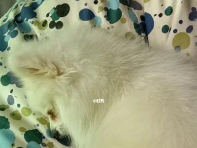 狗狗后腿抽搐为什么会咬人？（了解狗狗的身体语言、避免误解与伤害）